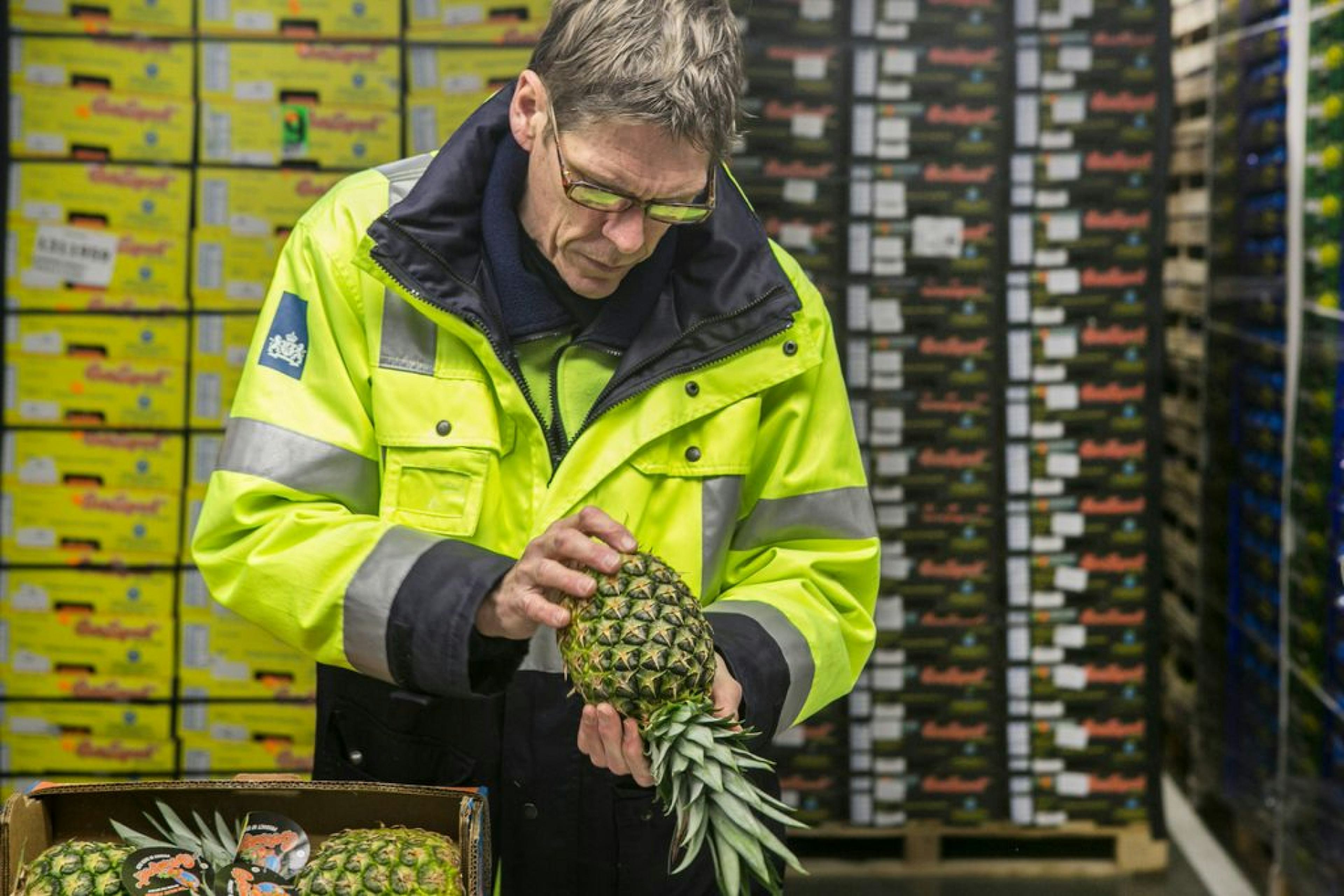 Person inspecting fruits